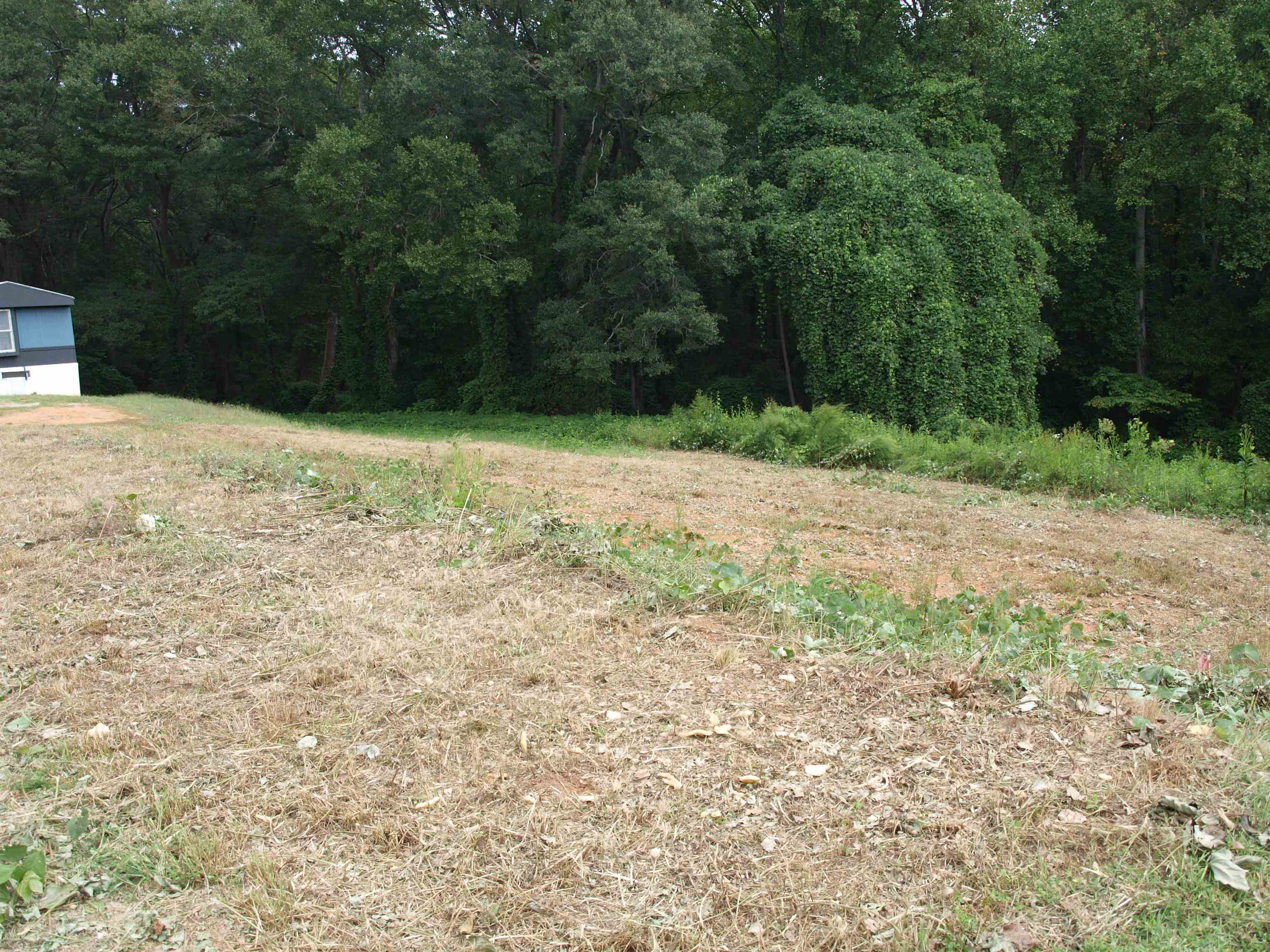 196 Wilson Court Boiling Springs, SC 29316 - Photo 5 of 5