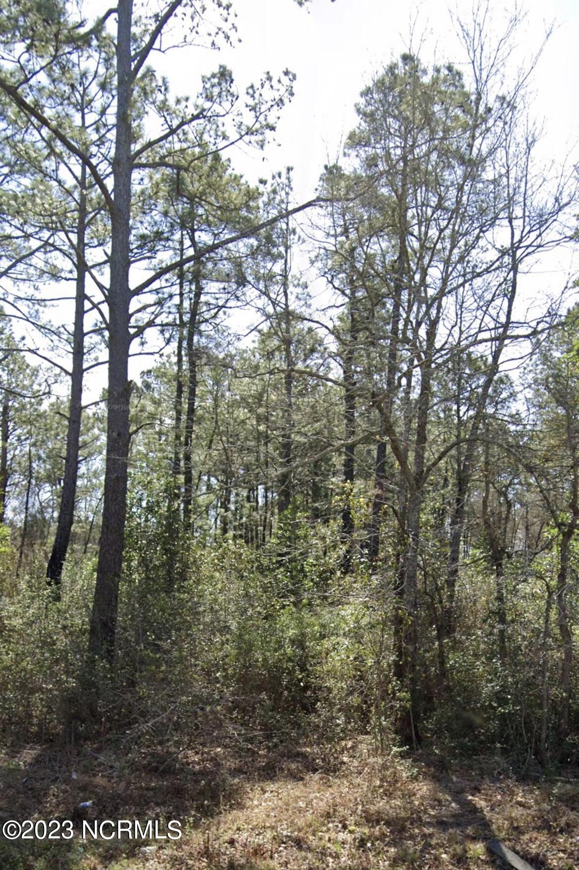 0 Newkirk Road Burgaw, NC 28425 - Photo 1 of 5 Undeveloped Land