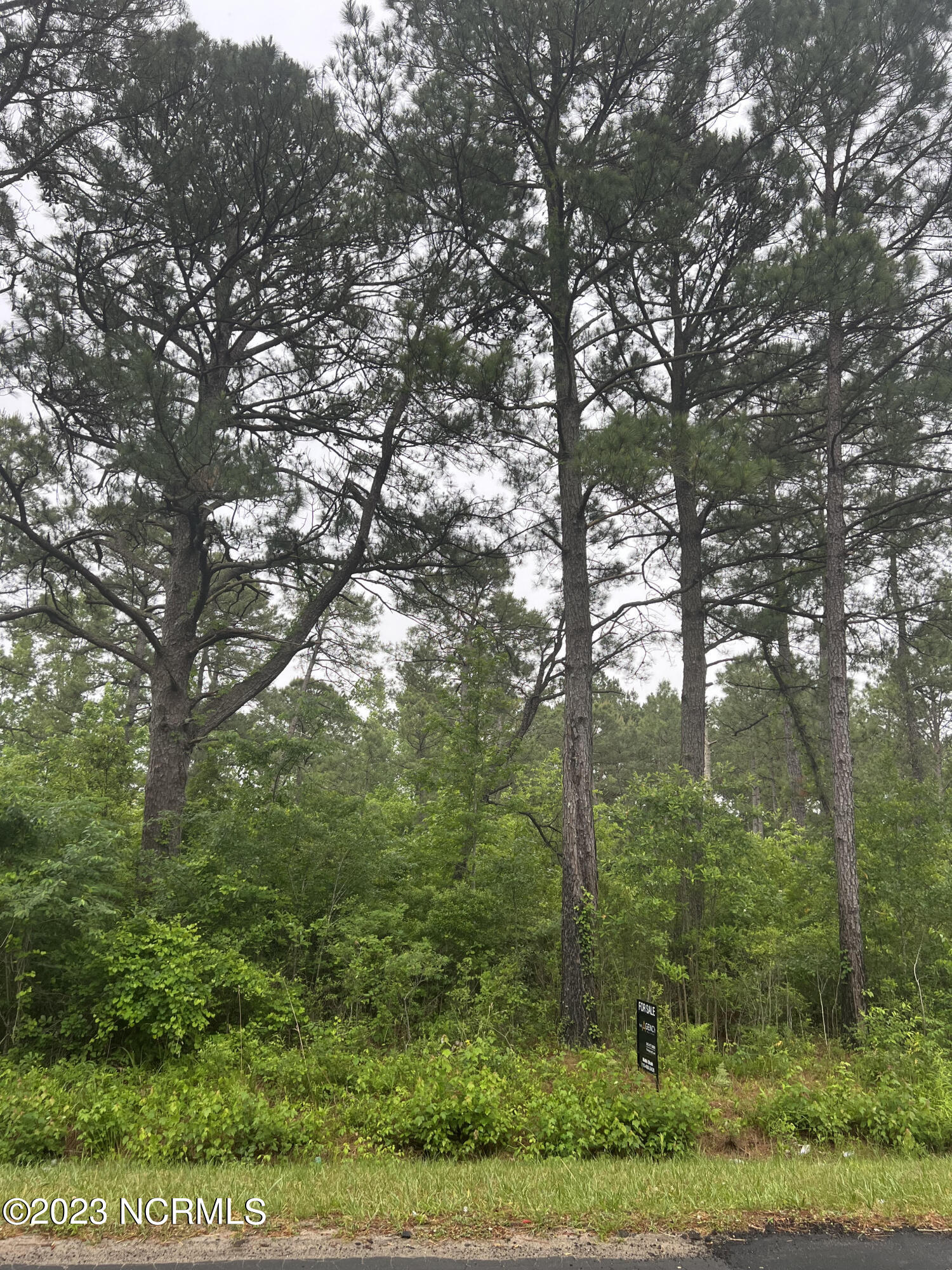 0 Newkirk Road Burgaw, NC 28425 - Photo 5 of 5 unnamed