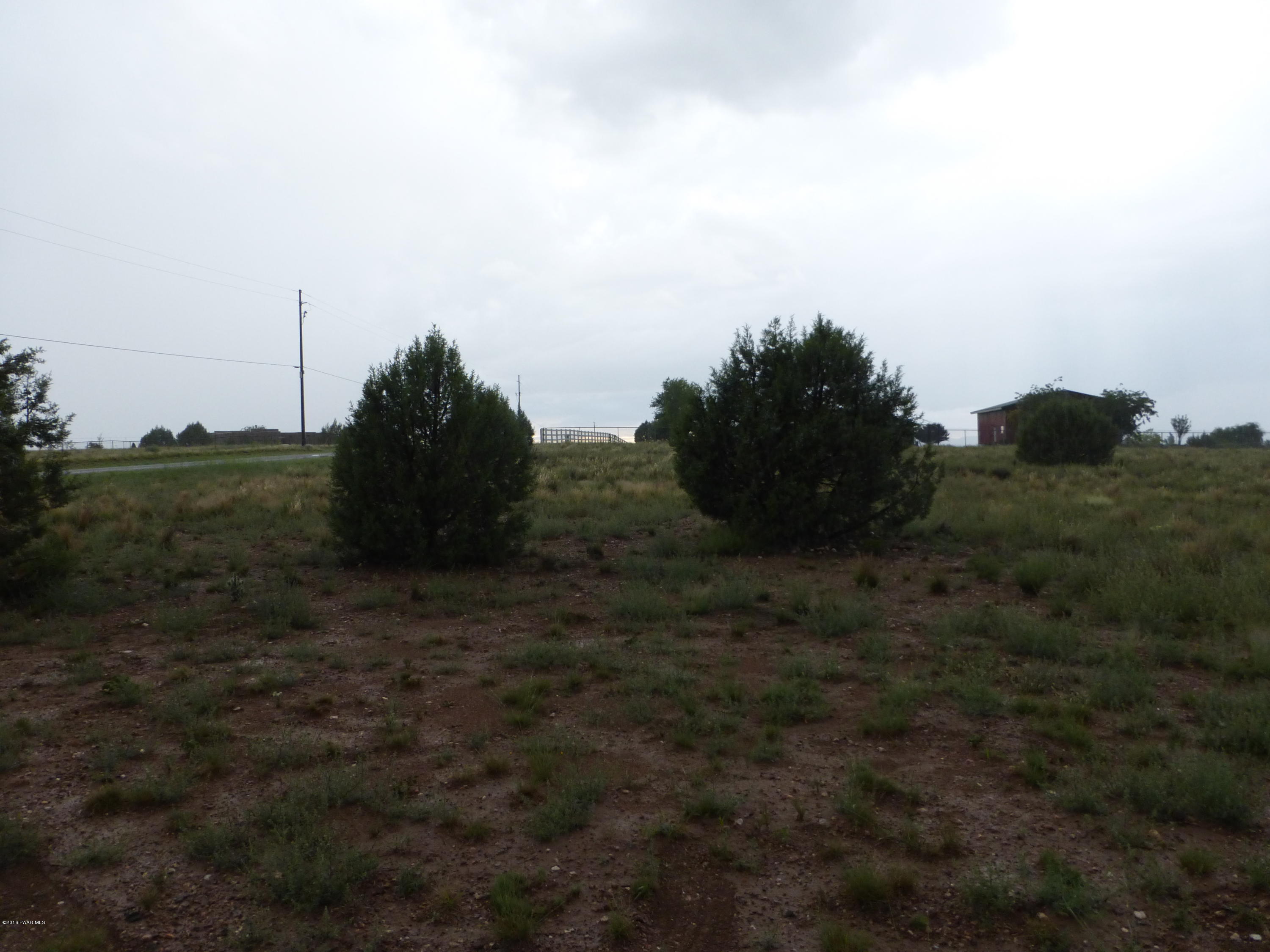 1300 East Verde Ranch Road Paulden, AZ 86334 - Photo 8 of 11 Native Trees