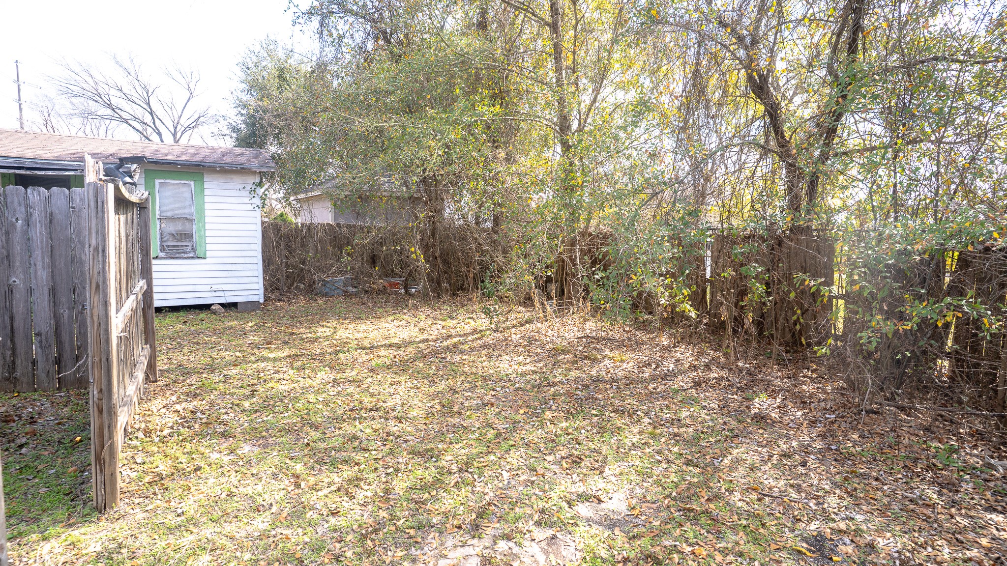 8808 Leander Street Houston, TX 77012 - Photo 9 of 12 a view of a yard with large trees