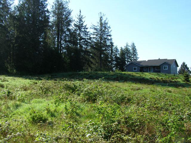 Tl#605 Latimer Road North Tillamook, OR 97141 - Photo 18 of 28 P5021233