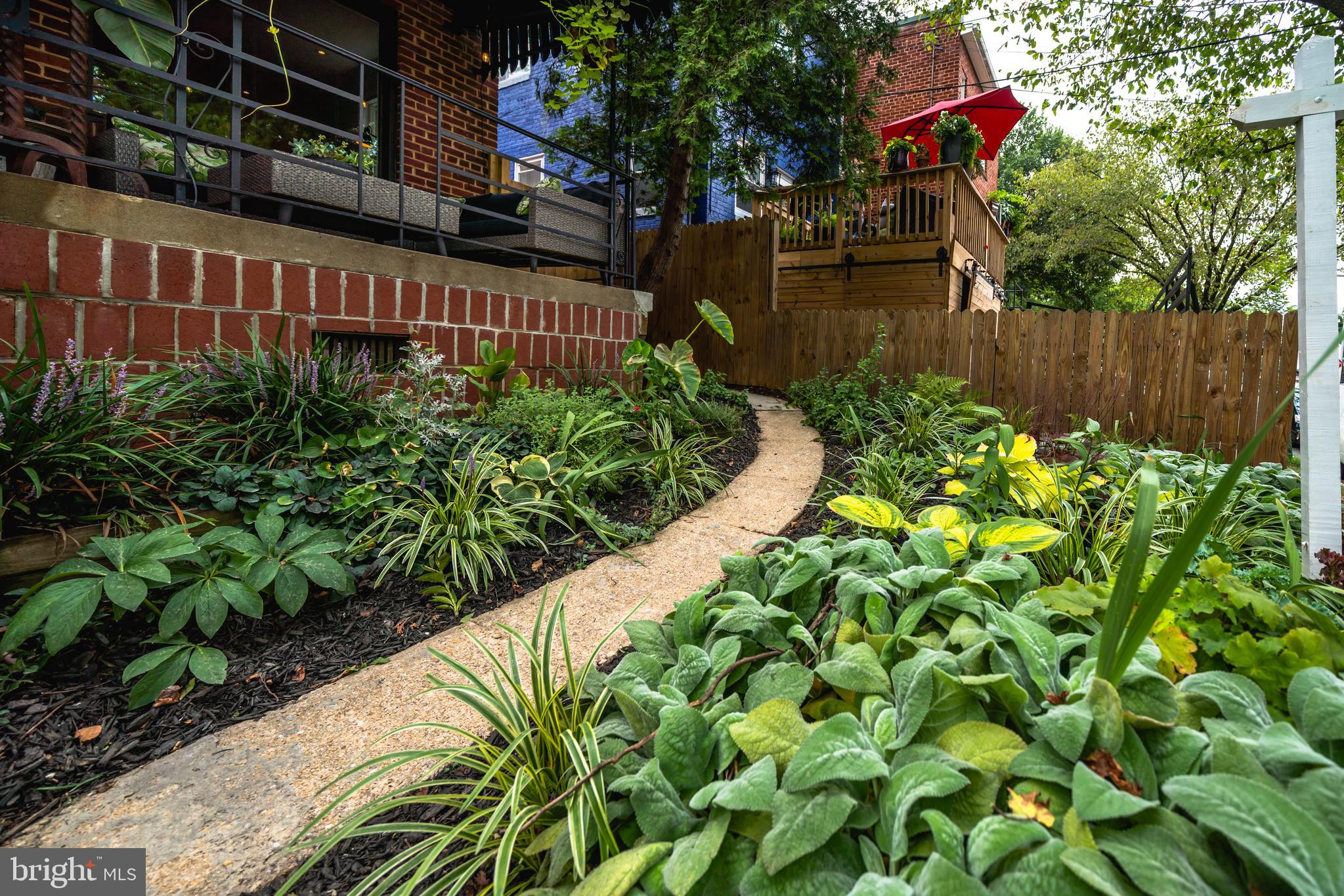 620 Oneida Street Northeast Washington, DC 20011 - Photo 3 of 77