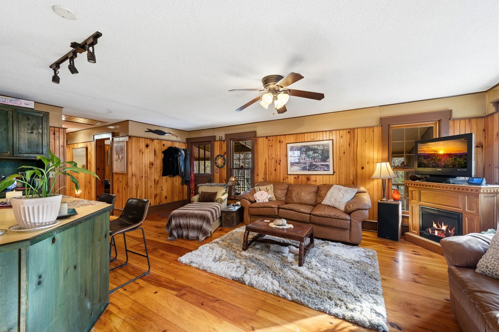 208 Bullen Gap Road Blue Ridge, GA 30513 - Photo 6 of 30