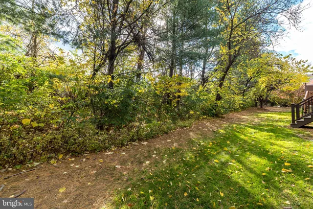 a view of outdoor space and a yard