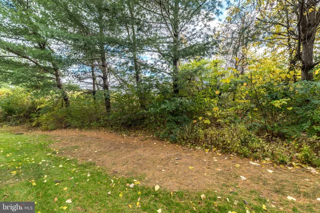 a view of a yard with a tree