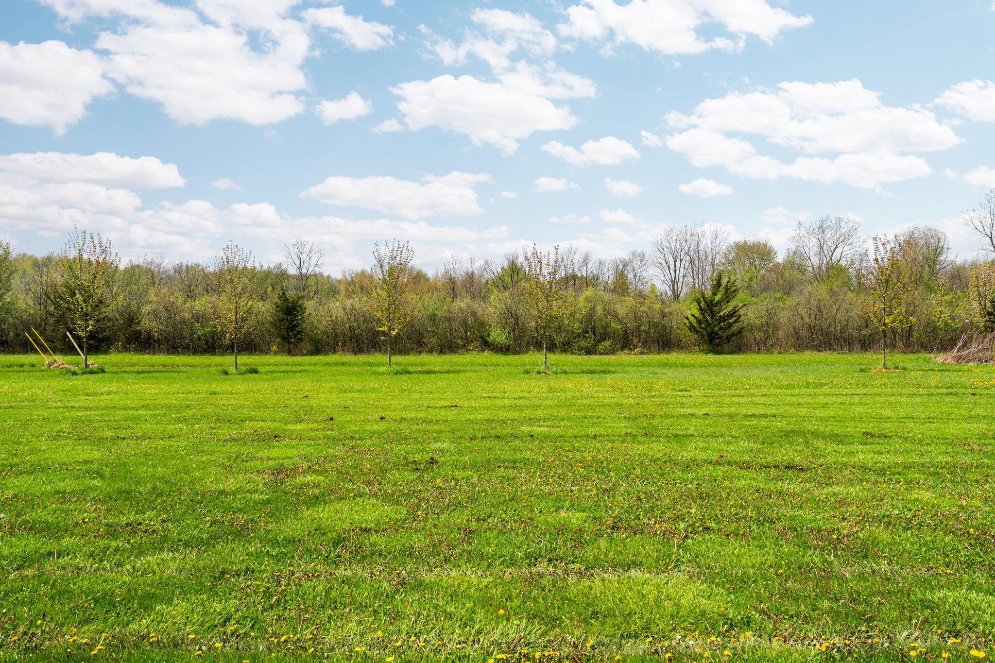 4335 Dauncy Road Flat Rock, MI 48134 - Photo 61 of 85 73-web-or-mls-DSC02518
