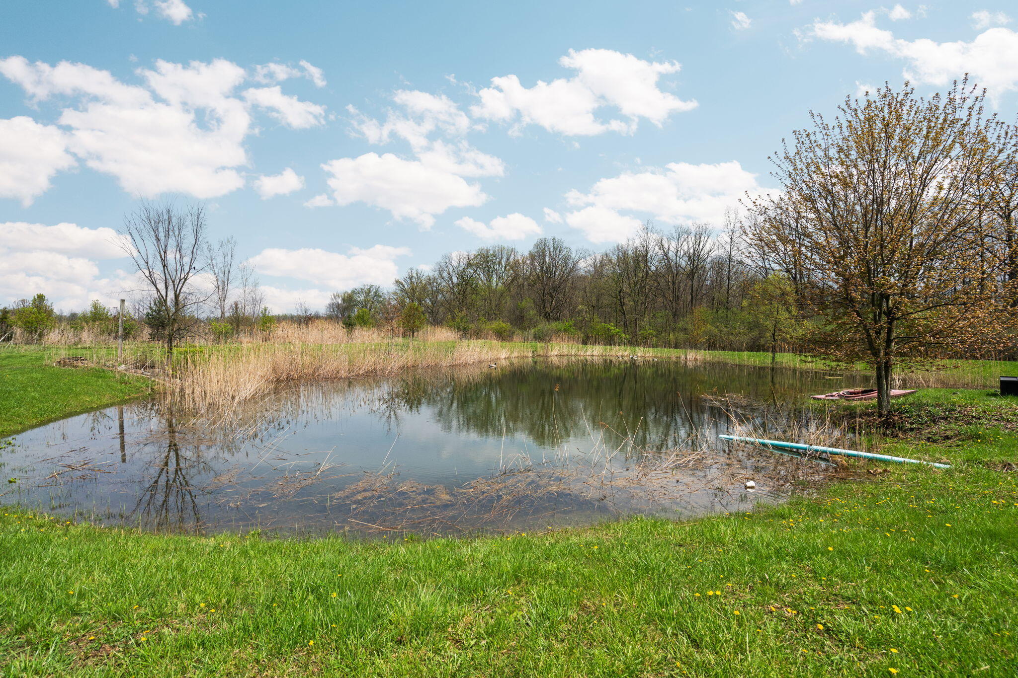 4335 Dauncy Road Flat Rock, MI 48134 - Photo 70 of 85 81-web-or-mls-DSC02526
