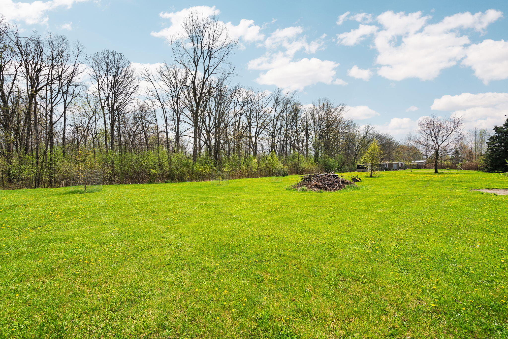 4335 Dauncy Road Flat Rock, MI 48134 - Photo 72 of 85 83-web-or-mls-DSC02528