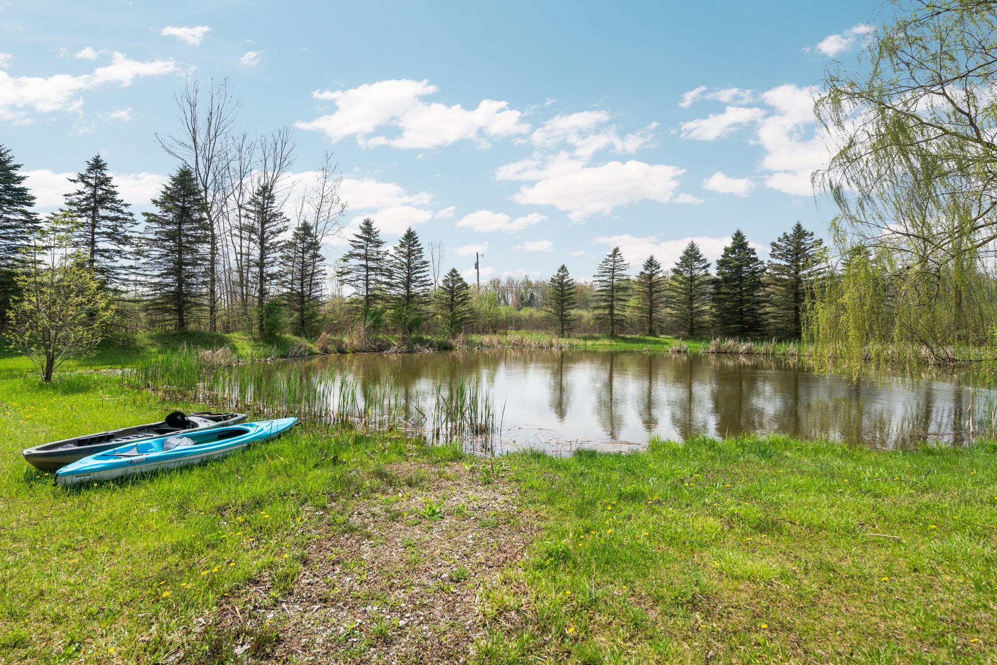4335 Dauncy Road Flat Rock, MI 48134 - Photo 78 of 85 90-web-or-mls-DSC02537