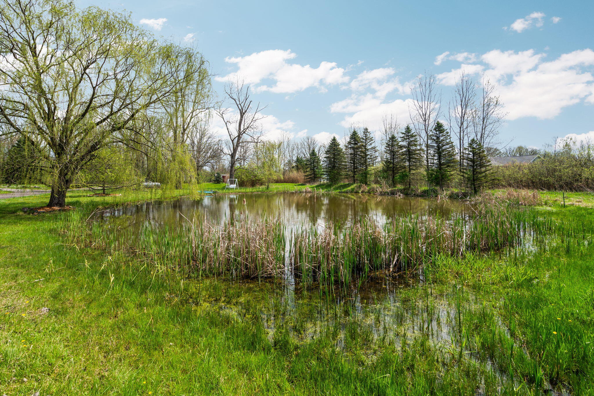 4335 Dauncy Road Flat Rock, MI 48134 - Photo 81 of 85 93-web-or-mls-DSC02540