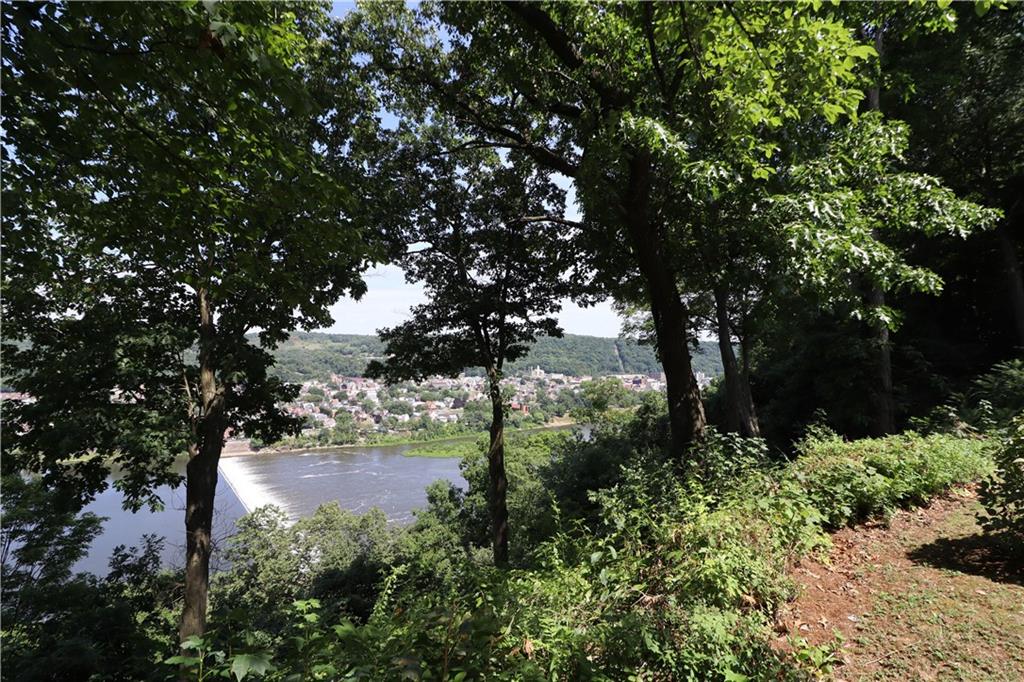 418 Pine Hill Road Kittanning, PA 16201 - Photo 20 of 20 a view of a garden with plants