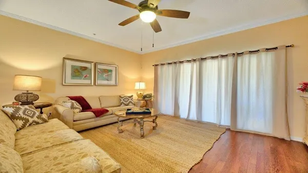 a living room with couches and painted walls with wooden floor