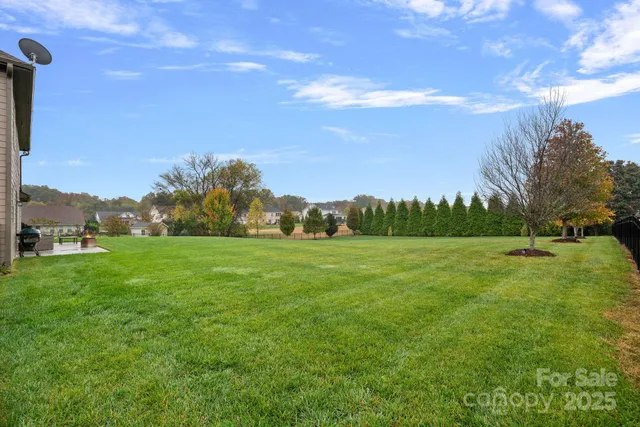 a view of a grassy field with an trees