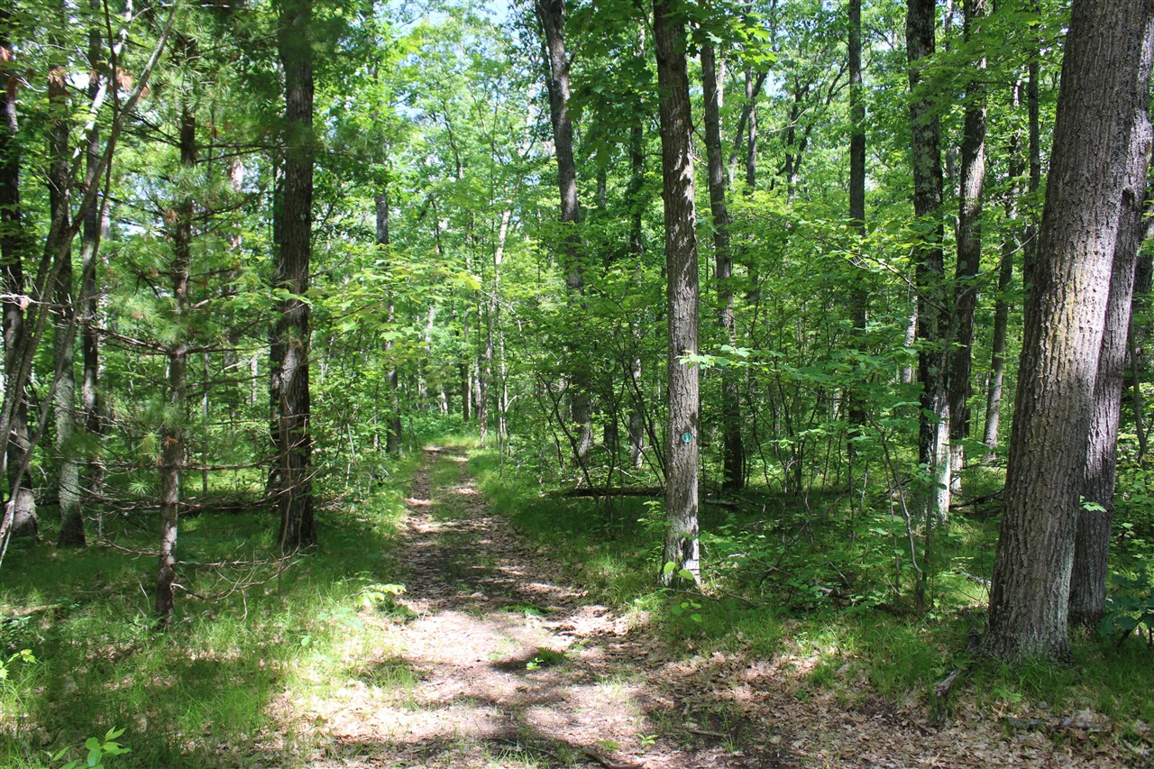 11870 Bayer Road Roscommon, MI 48653 - Photo 41 of 50