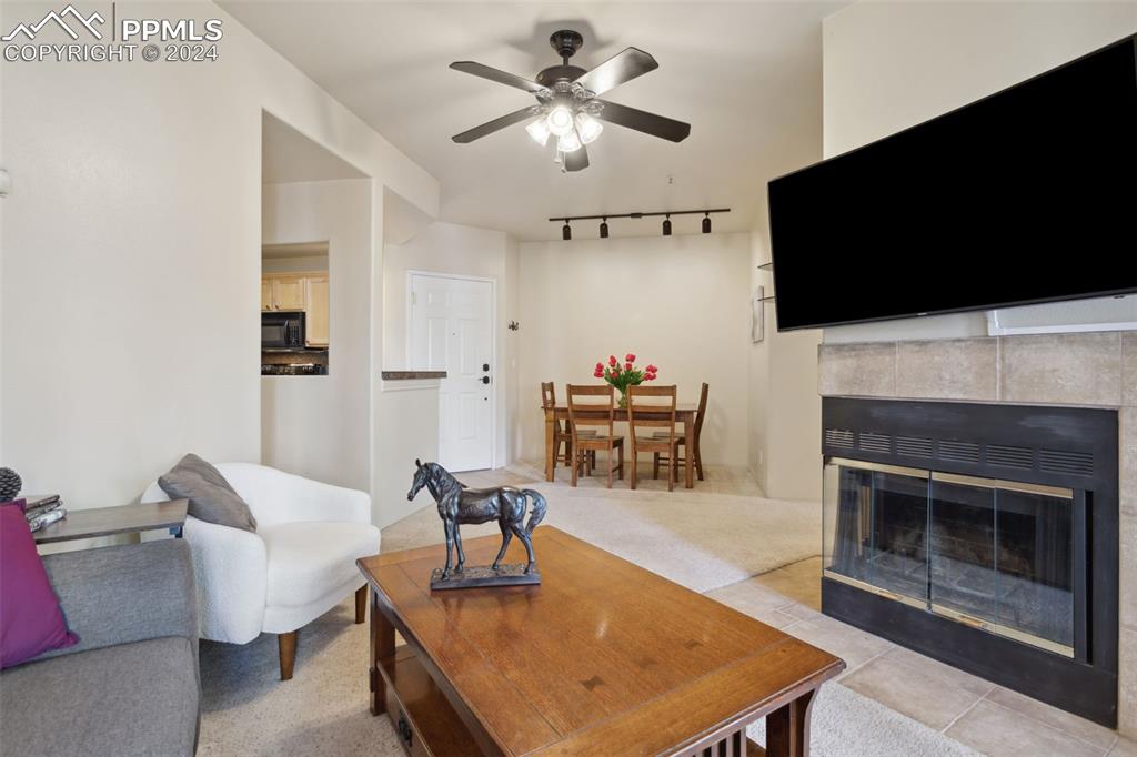 175 West Cheyenne Road, Unit 214 Colorado Springs, CO 80906 - Photo 5 of 28 a living room with furniture a flat screen tv and a fireplace