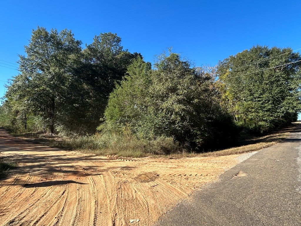 140/ Cty Road Headland, AL 36345 - Photo 13 of 33