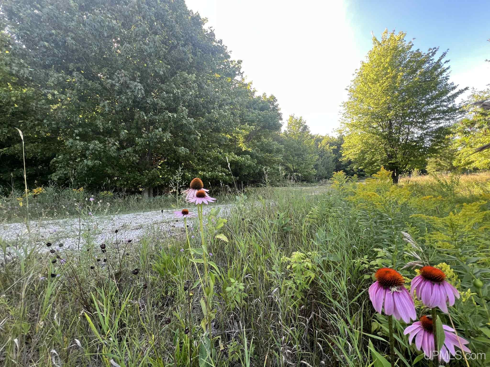 Tbd II Road Garden, MI 49835 - Photo 21 of 42