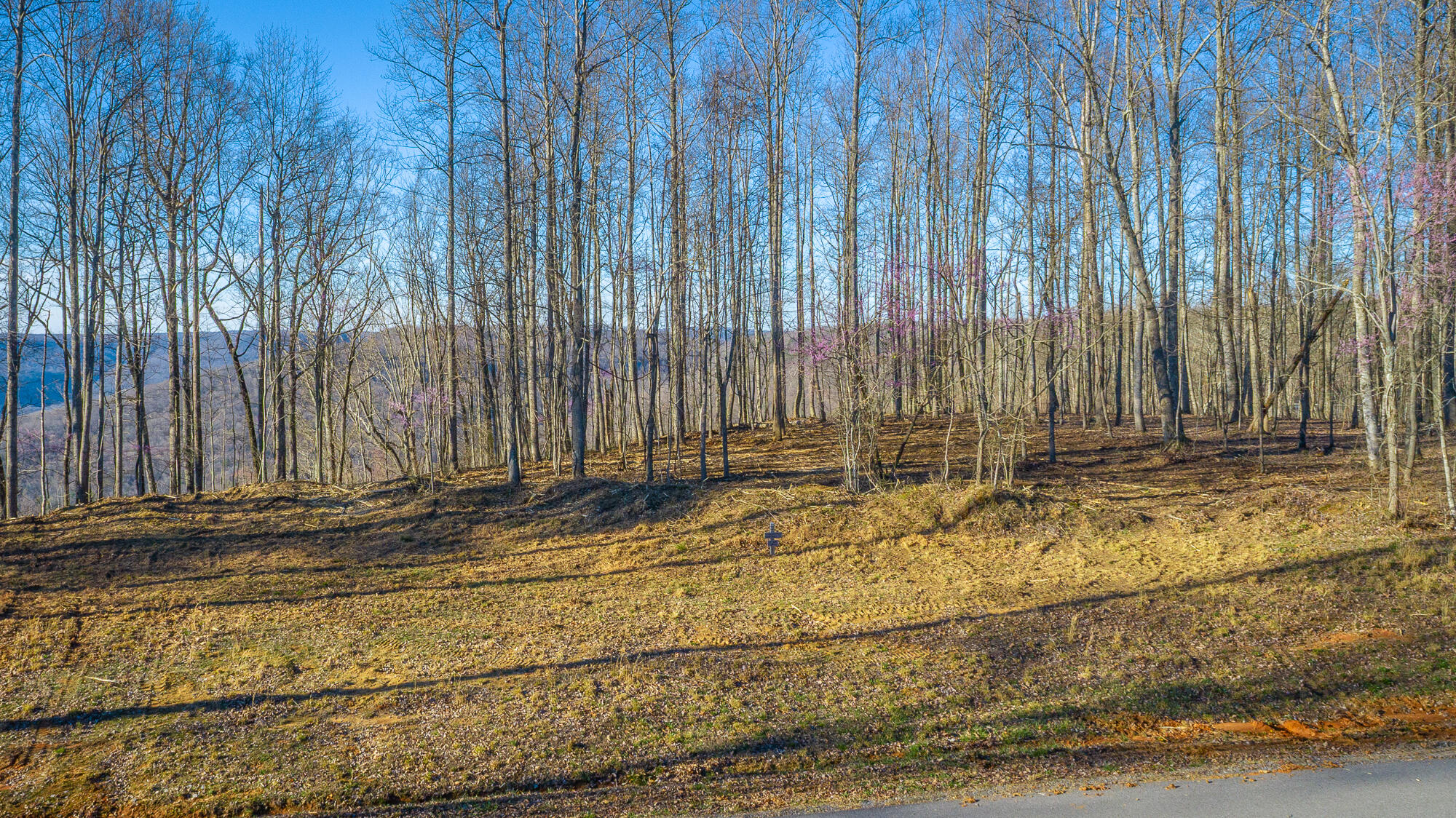 0 Cherokee Path, Unit JF269 Jasper, TN 37347 - Photo 70 of 94 0 Cherokee Path - JF269 HD-69