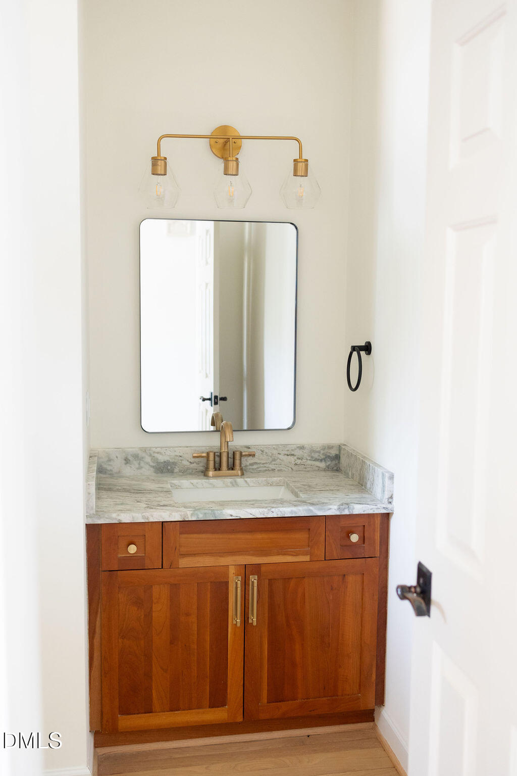 1009 Neuse Ridge Drive Clayton, NC 27527 - Photo 14 of 39 Downstairs Bathroom Pic 3