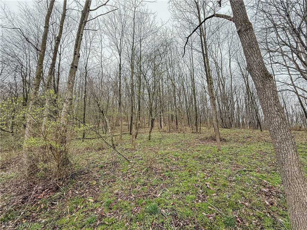 Buck Hill Road Frazeysburg, OH 43822 - Photo 13 of 24