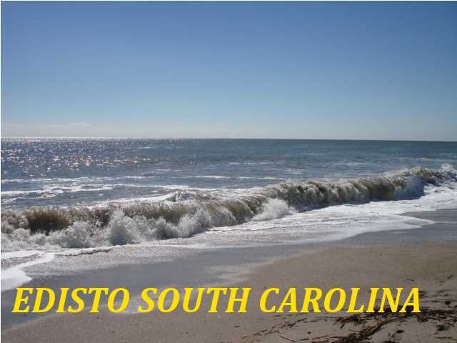 228 Oyster Factory Road Edisto Island, SC 29438 - Photo 5 of 10 Additional Photo