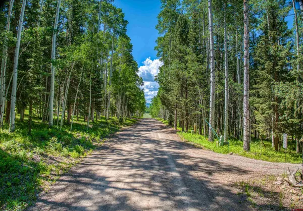 $99,500 | 355 Ponderosa Way, Cimarron, CO 81220