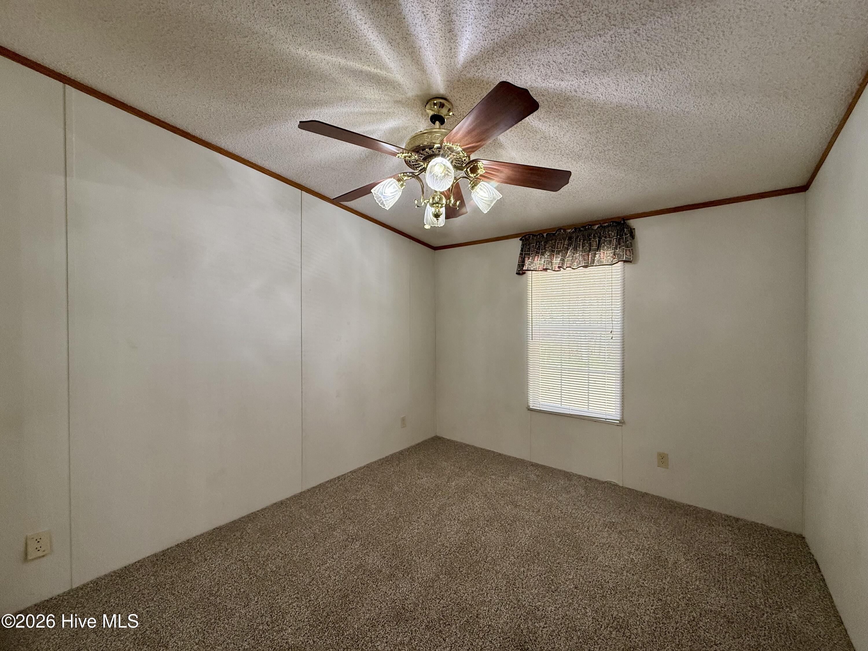 6484 Prison Camp Road Williamston, NC 27892 - Photo 50 of 56 Bedroom #3