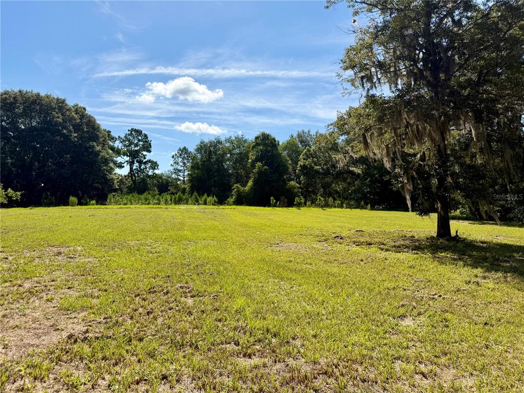 17545 Northeast 37th Court Citra, FL 32113 - Photo 20 of 29