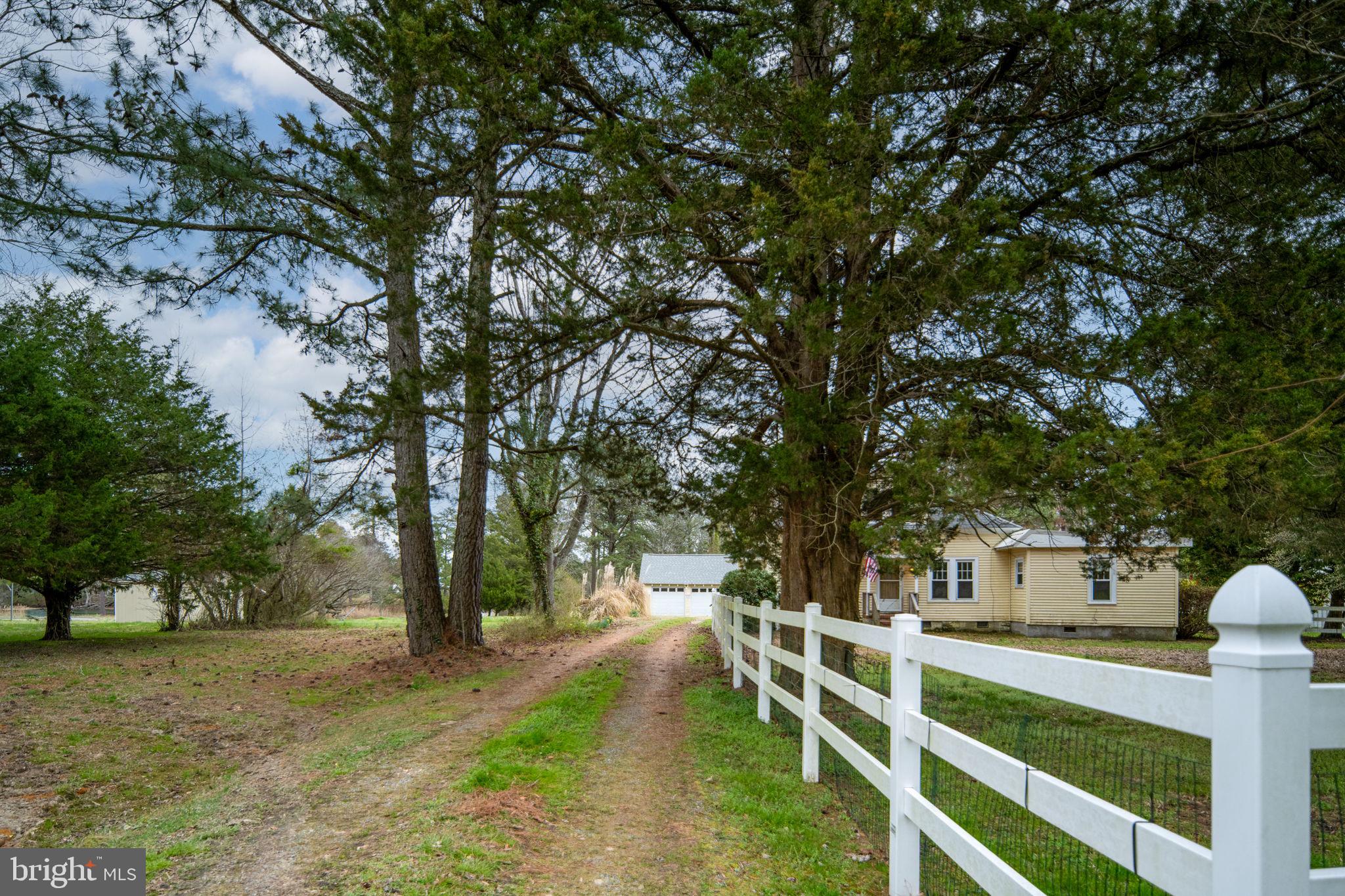 1881 Fairport Road Reedville, VA 22539 - Photo 4 of 57 a view of a yard with wooden fence