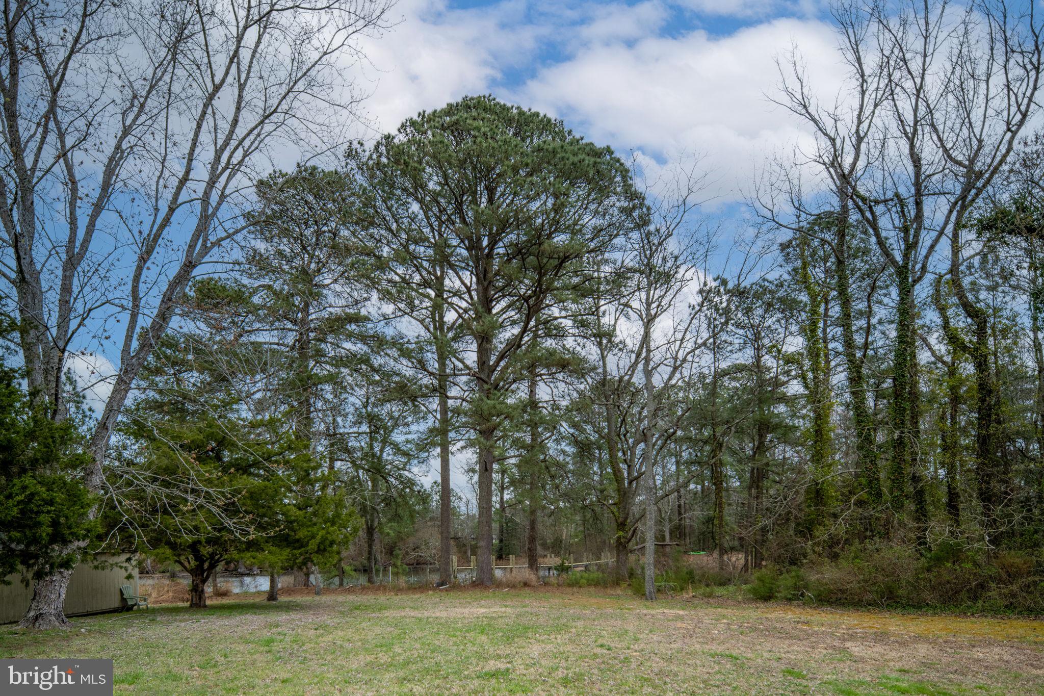 1881 Fairport Road Reedville, VA 22539 - Photo 44 of 48 Yard