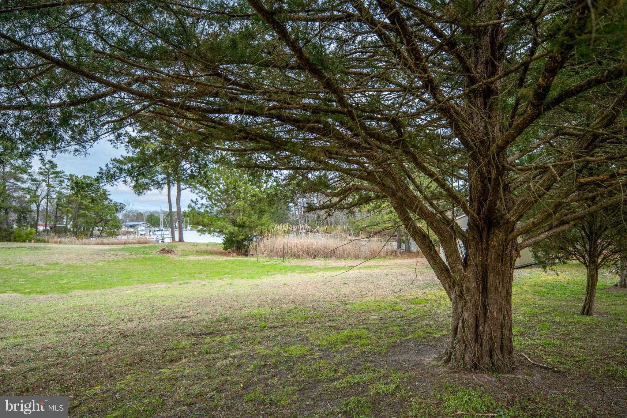 1881 Fairport Road Reedville, VA 22539 - Photo 45 of 48 Side Yard View