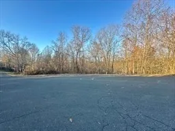 a view of road view with large trees