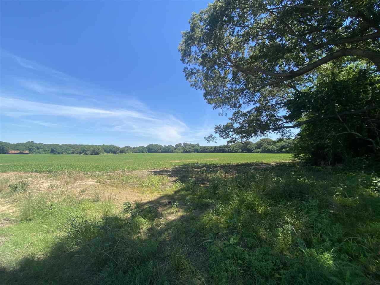 Lot #1 Karcher Road Somerville, TN 38068 - Photo 1 of 21 Gallery Image 1