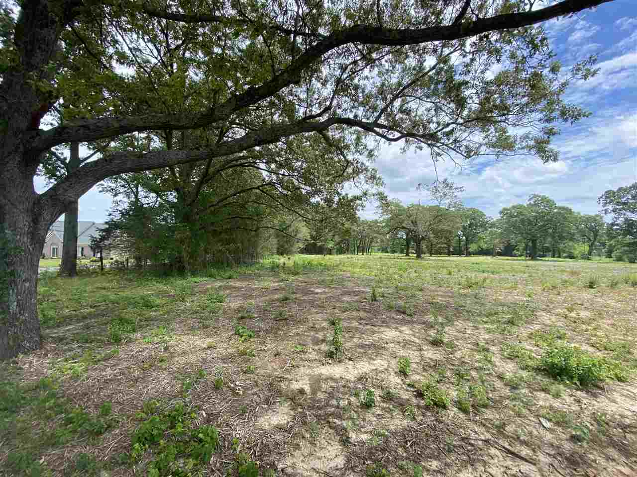 Lot #1 Karcher Road Somerville, TN 38068 - Photo 6 of 21 Gallery Image 6