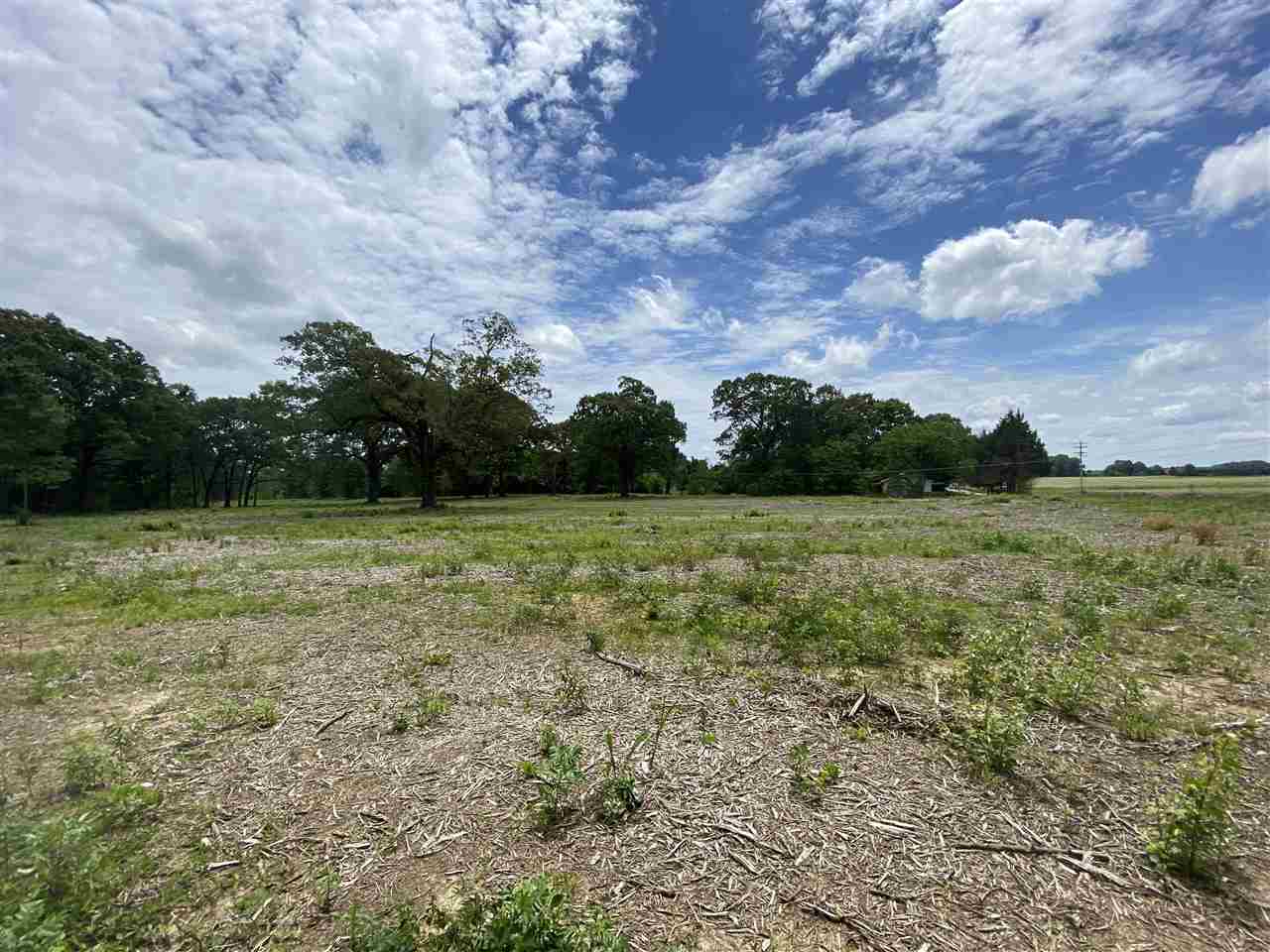 Lot #1 Karcher Road Somerville, TN 38068 - Photo 8 of 21 Gallery Image 8