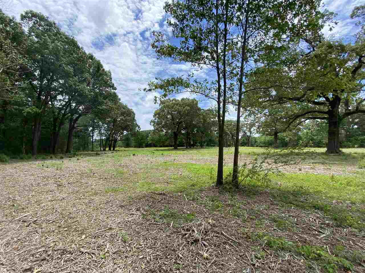 Lot #1 Karcher Road Somerville, TN 38068 - Photo 9 of 21 Gallery Image 9