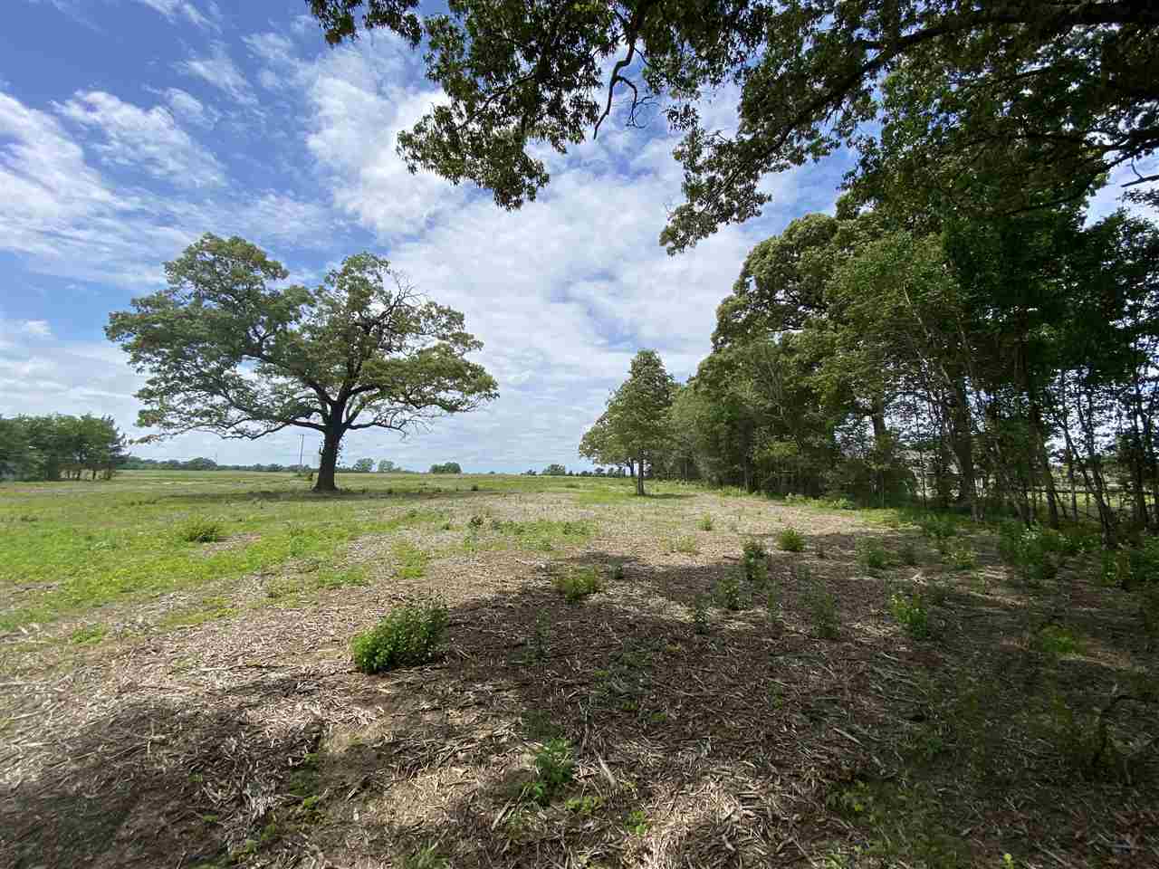 Lot #1 Karcher Road Somerville, TN 38068 - Photo 10 of 21 Gallery Image 10