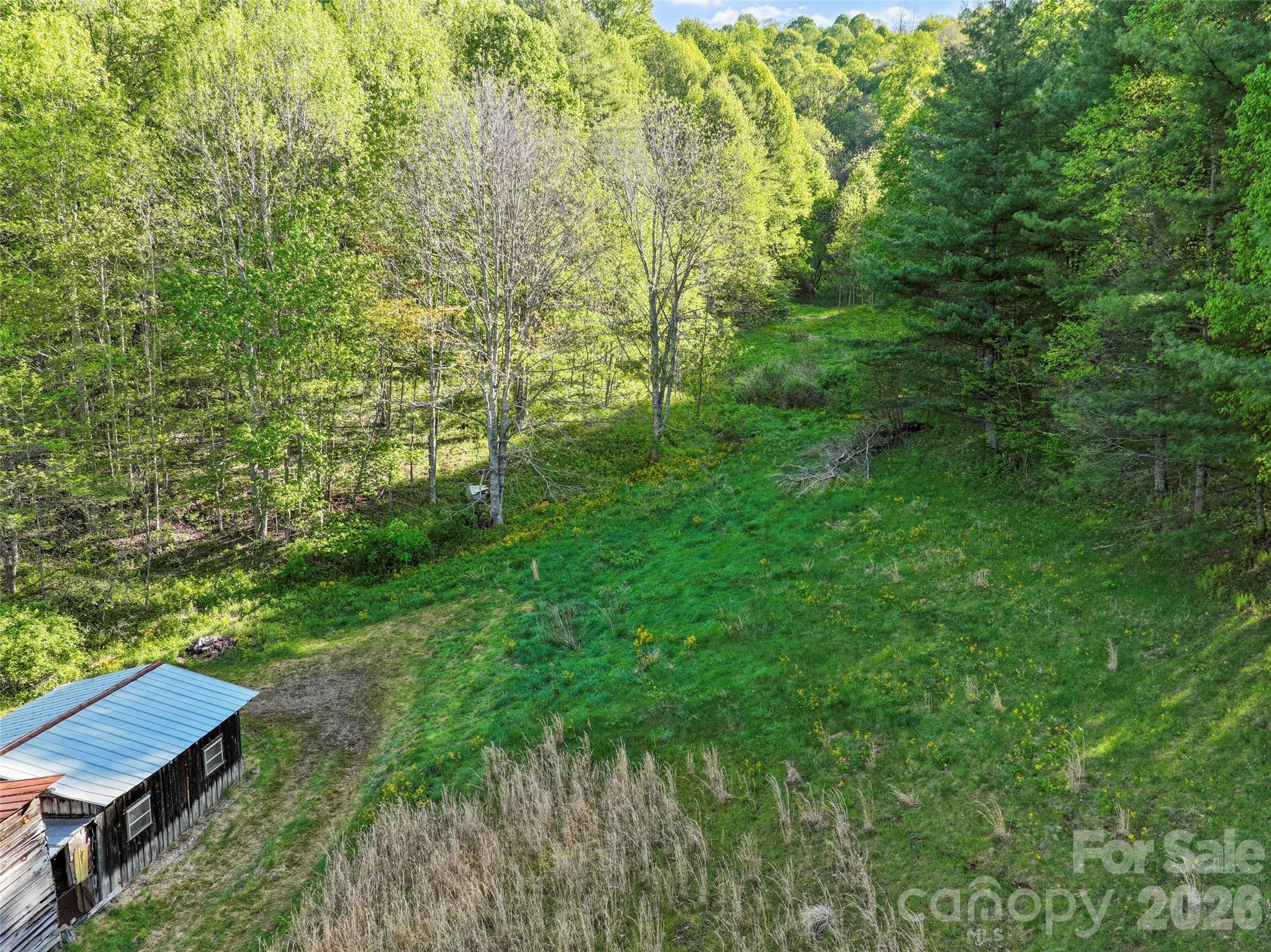 3454 Puncheon Fork Road Mars Hill, NC 28754 - Photo 12 of 18 a view of a yard with plants and large trees