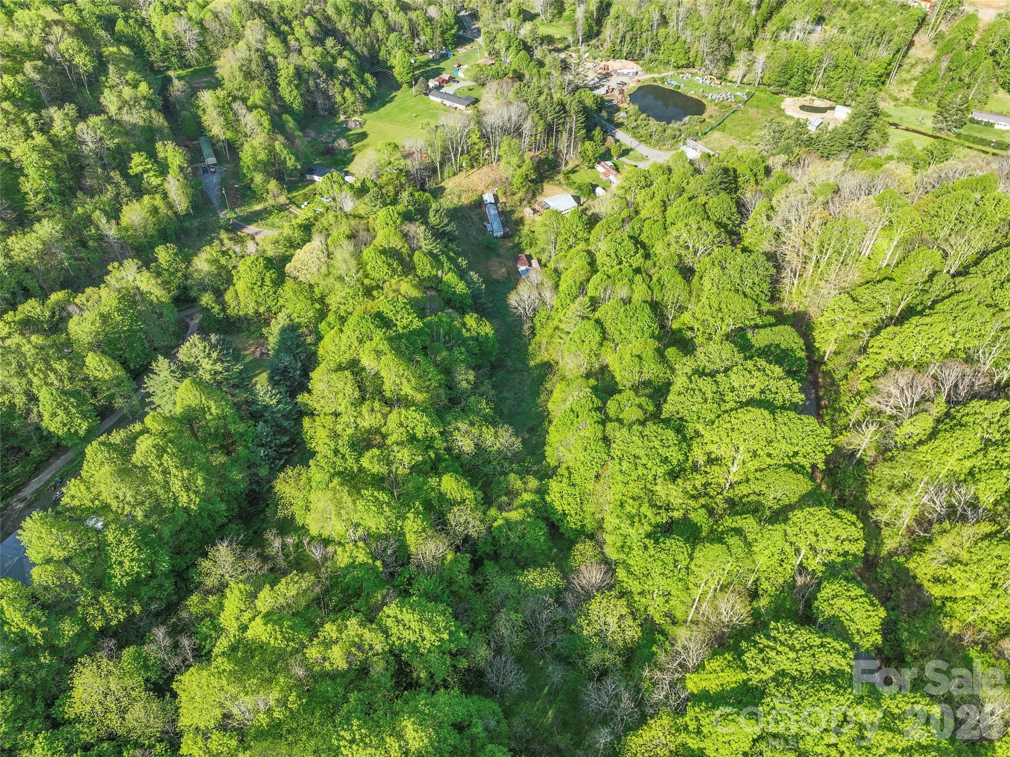3454 Puncheon Fork Road Mars Hill, NC 28754 - Photo 16 of 18 a view of a big yard