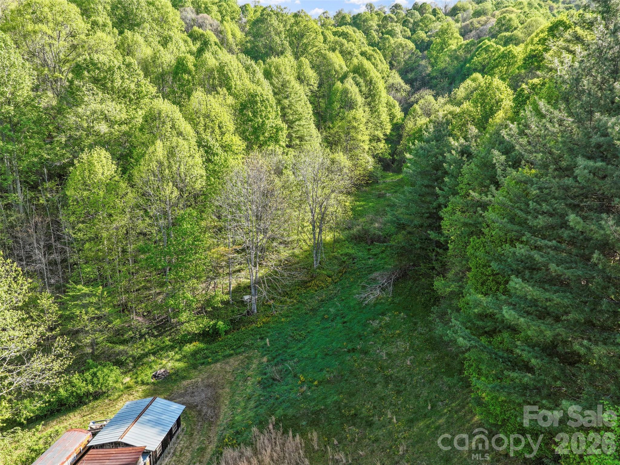 3454 Puncheon Fork Road Mars Hill, NC 28754 - Photo 17 of 18 a view of a yard with an outdoor space