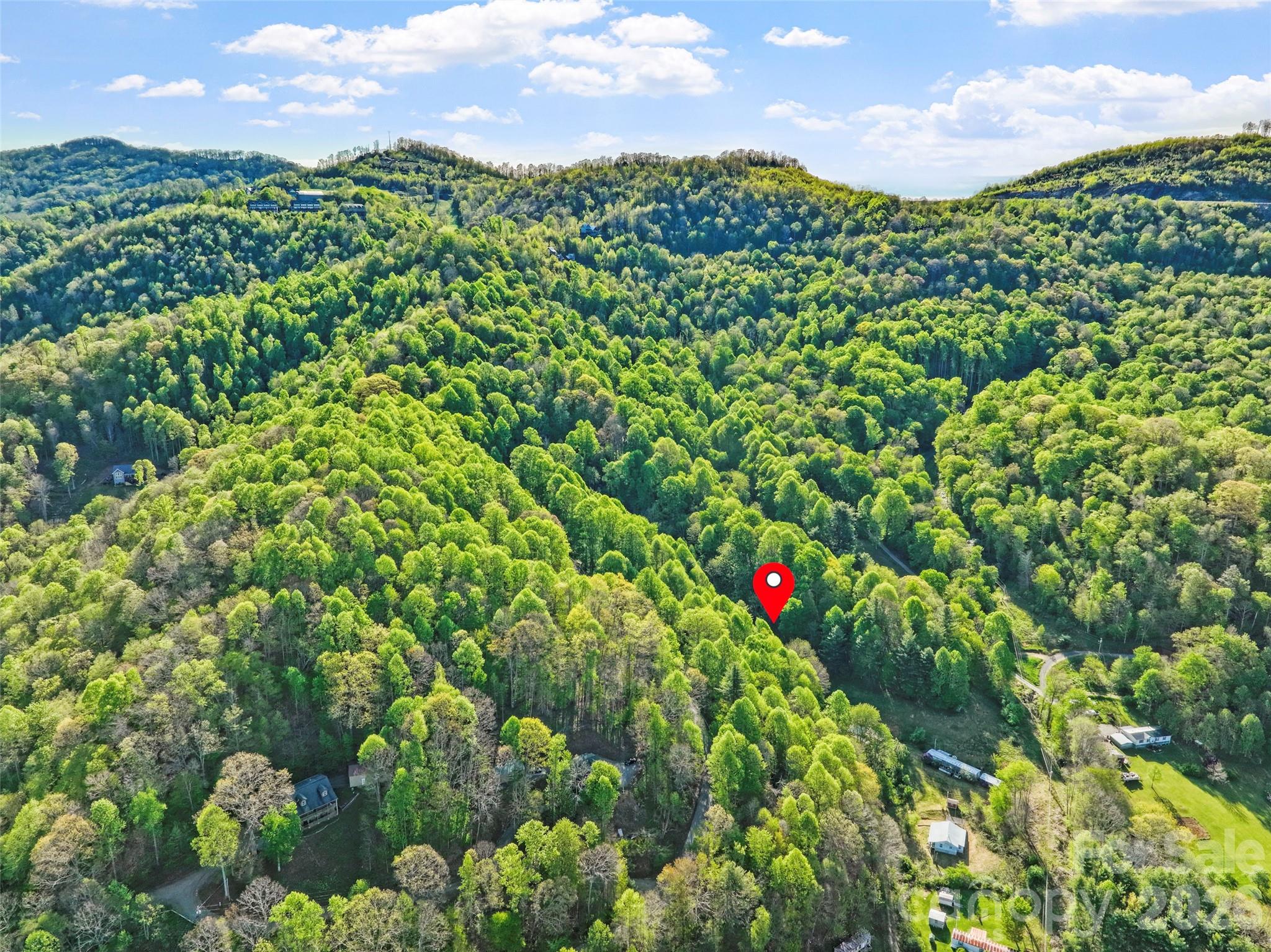 3454 Puncheon Fork Road Mars Hill, NC 28754 - Photo 4 of 18 a view of a yard