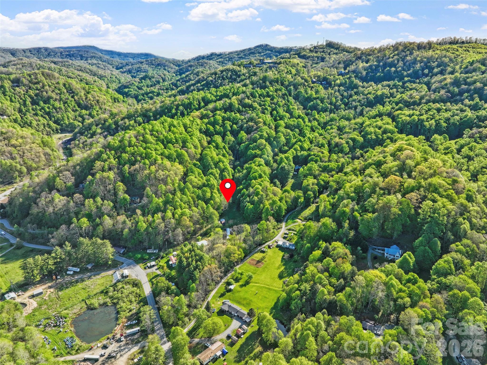 3454 Puncheon Fork Road Mars Hill, NC 28754 - Photo 5 of 18 a view of a lush green field with lots of plants in the background