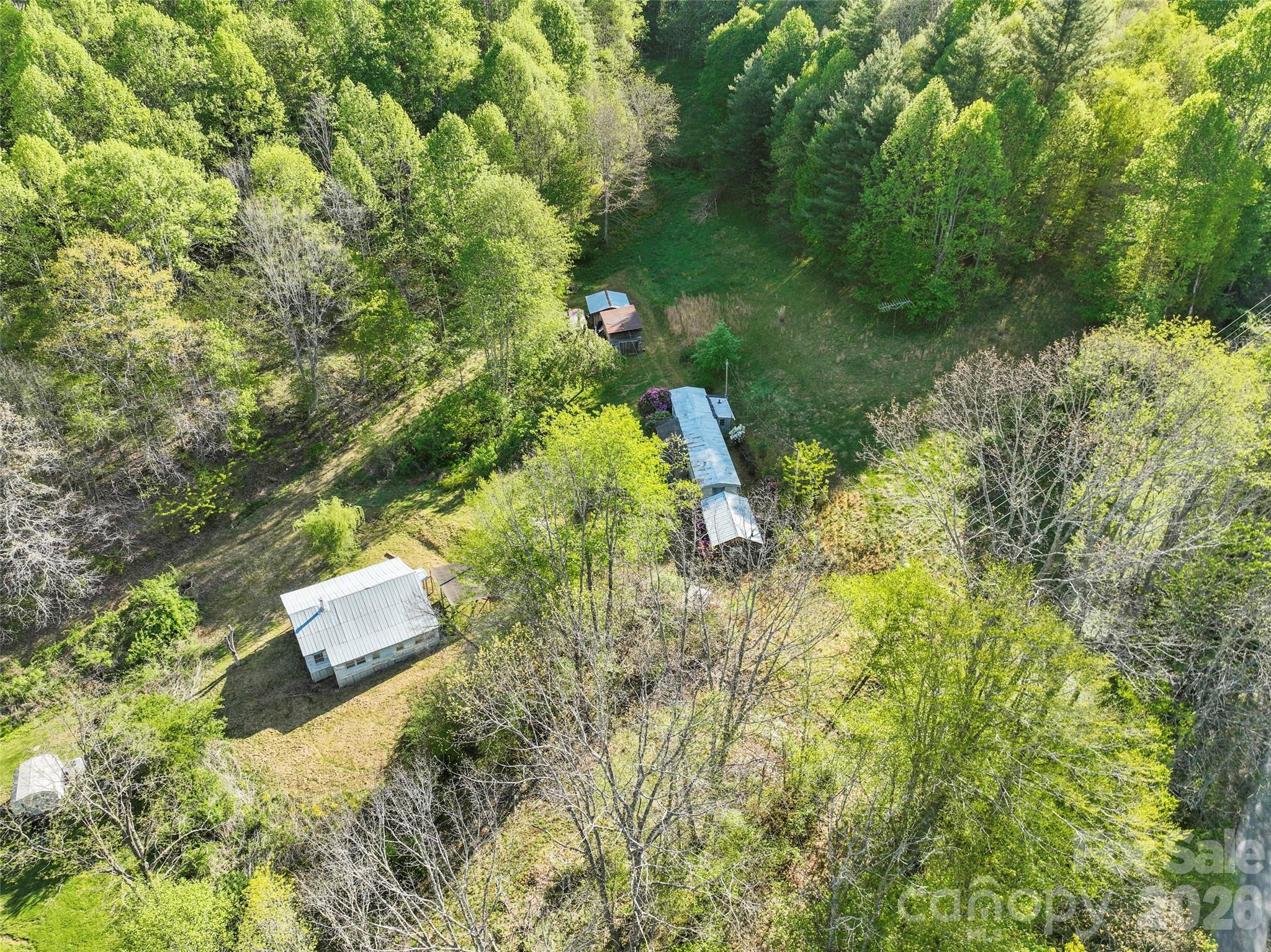3454 Puncheon Fork Road Mars Hill, NC 28754 - Photo 6 of 18