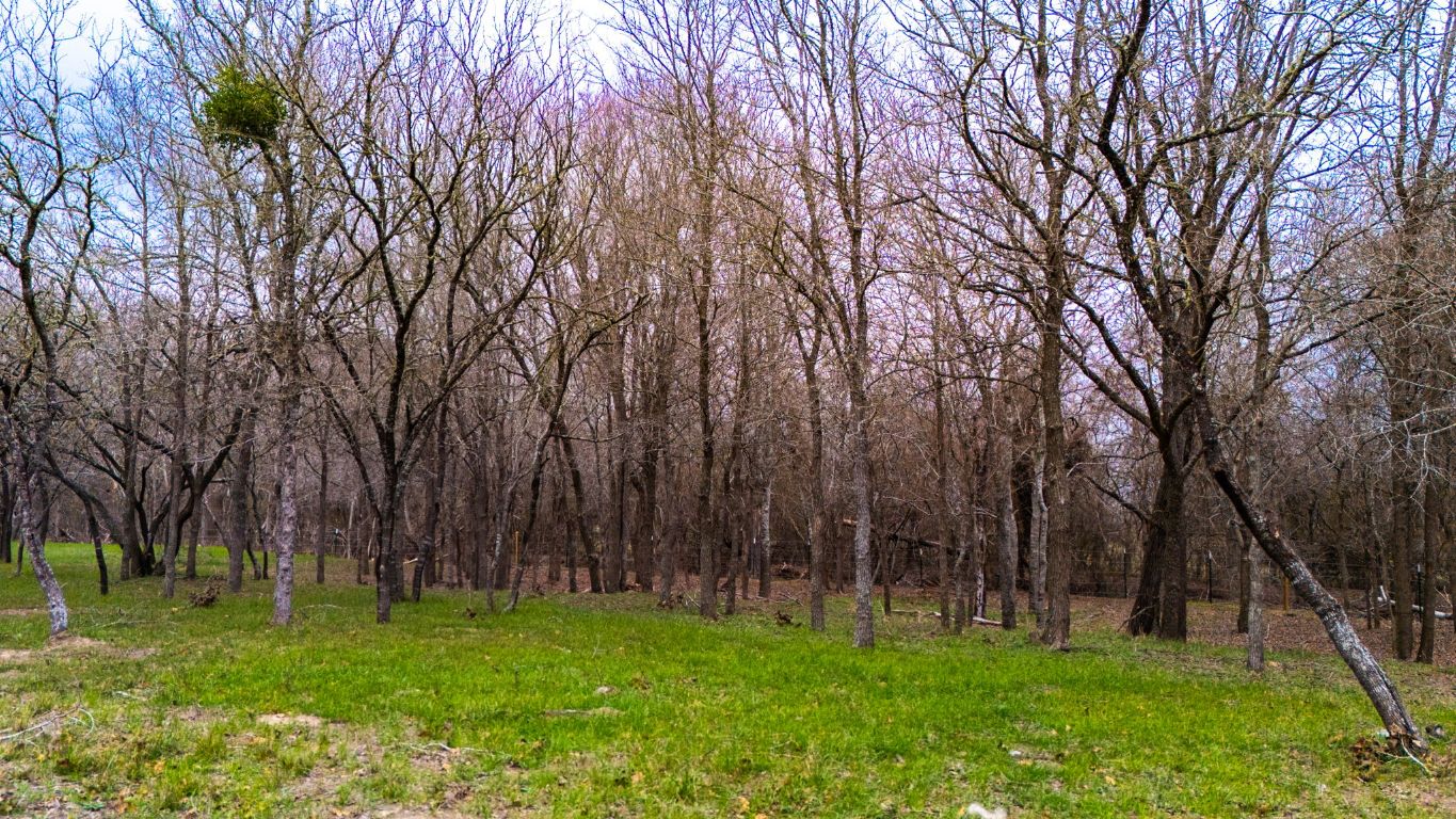 199 Sand Hill Road Dale, TX 78616 - Photo 13 of 18 a view of grassy field with trees