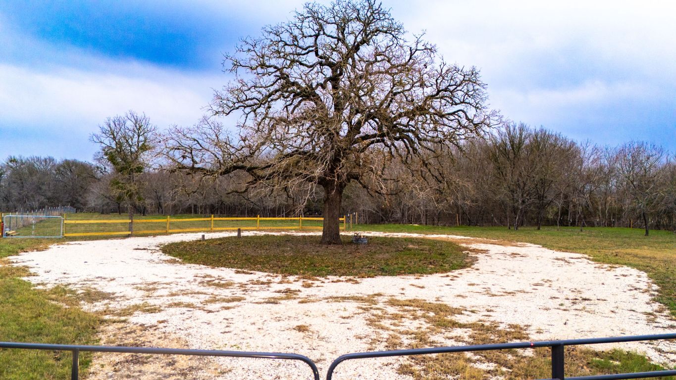 199 Sand Hill Road Dale, TX 78616 - Photo 9 of 18 a view of swimming pool with trees