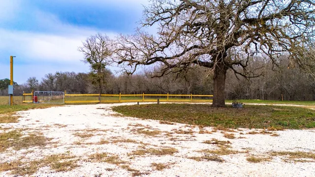 a view of a yard with a tree
