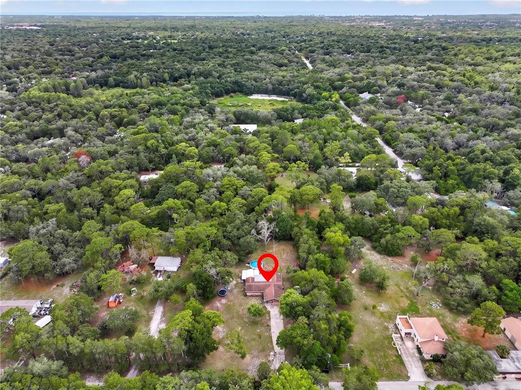13129 Filbert Street Hudson, FL 34669 - Photo 57 of 59