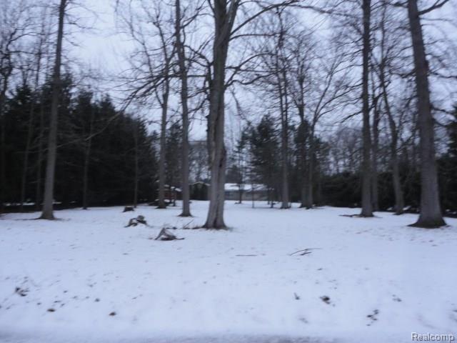 336 Wales Center Road Columbus, MI 48063 - Photo 34 of 34 DSC06066.jpg