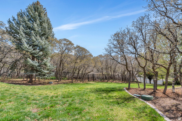 811 South High Ridge Drive Alpine, UT 84004 - Photo 81 of 98 View of green lawn featuring view of wooded area